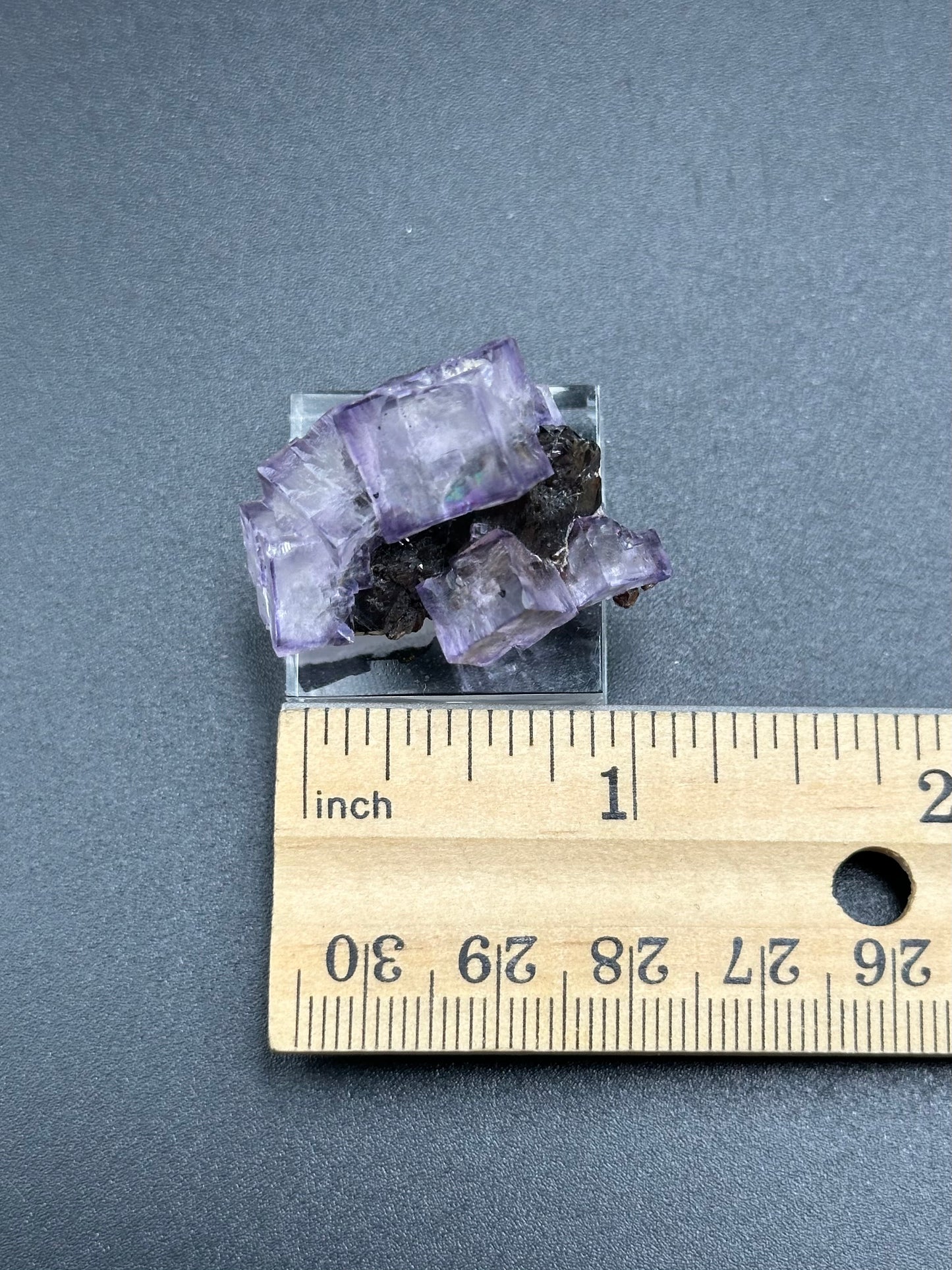 Elmwood Fluorite