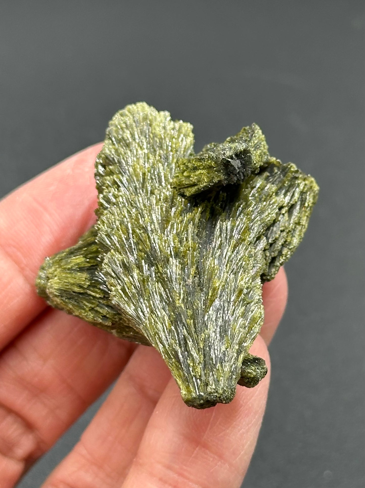 Epidote Fan