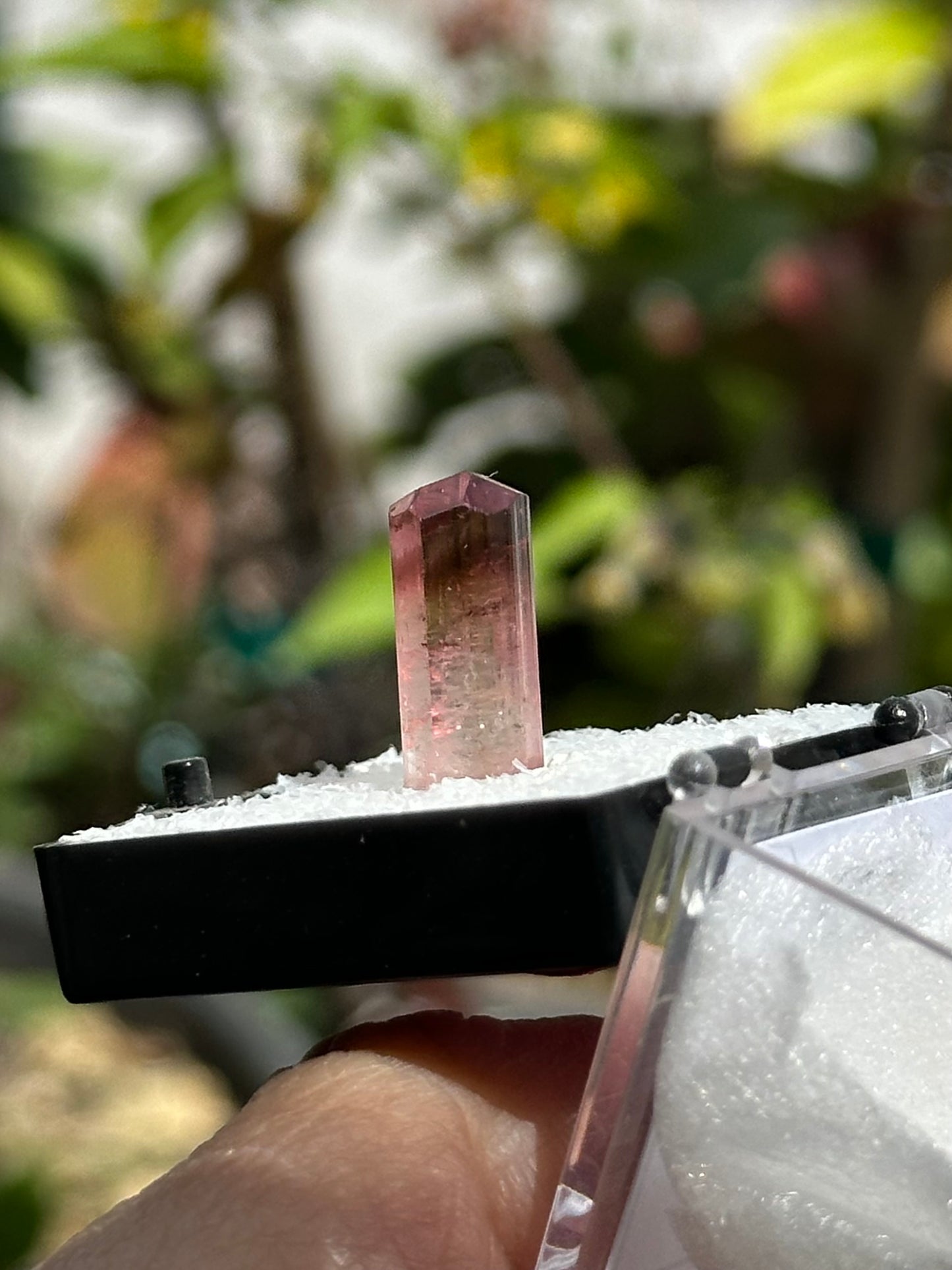 Tourmaline from Água Branca, Brazil