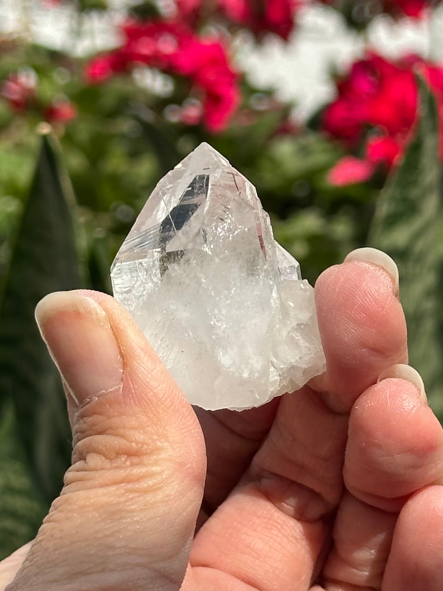 Swiss Quartz Crystal