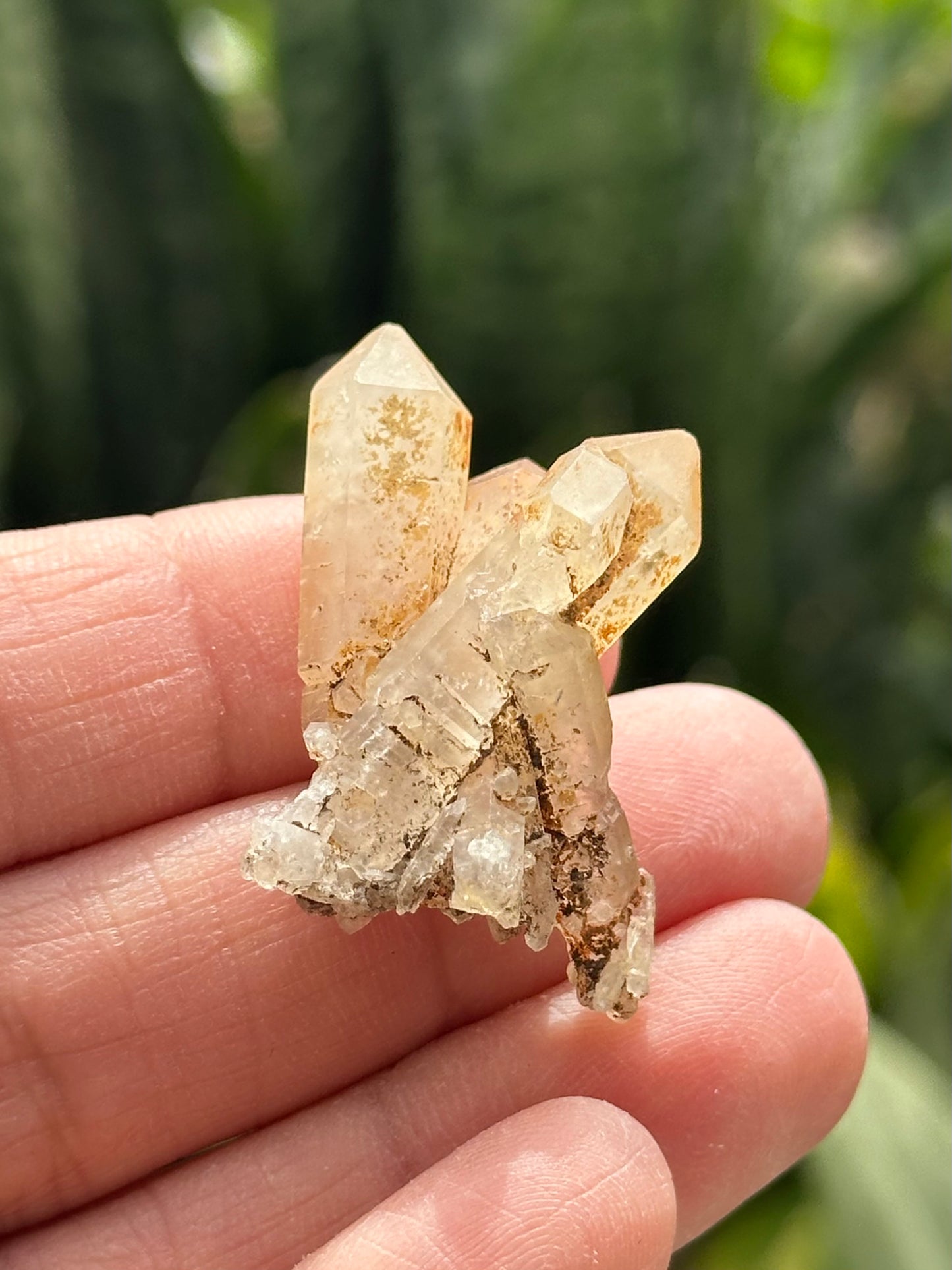 Quartz Scepter