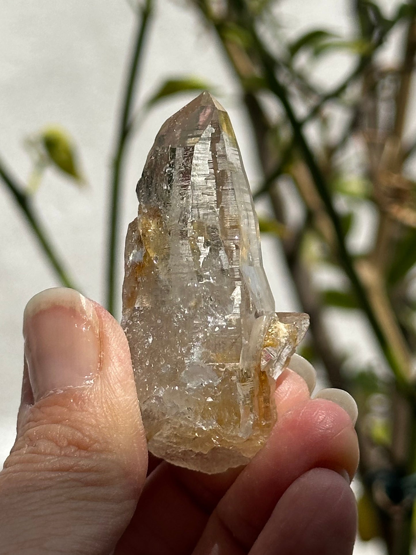 Swiss Quartz Specimen