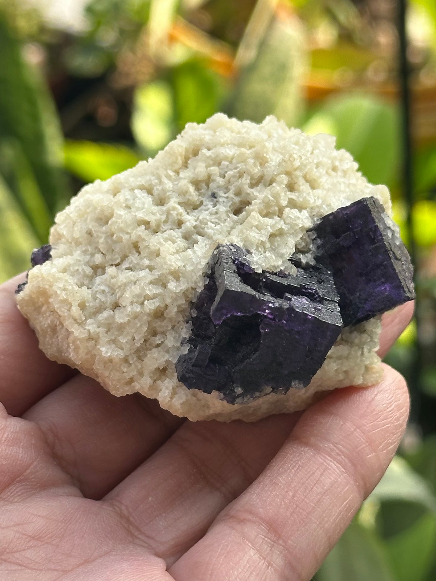 Fluorite and Dolomite from the Elmwood Mine