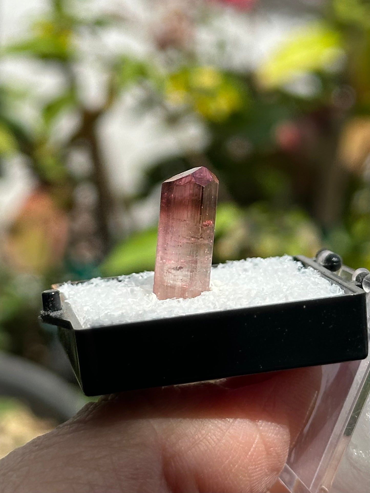 Tourmaline from Água Branca, Brazil
