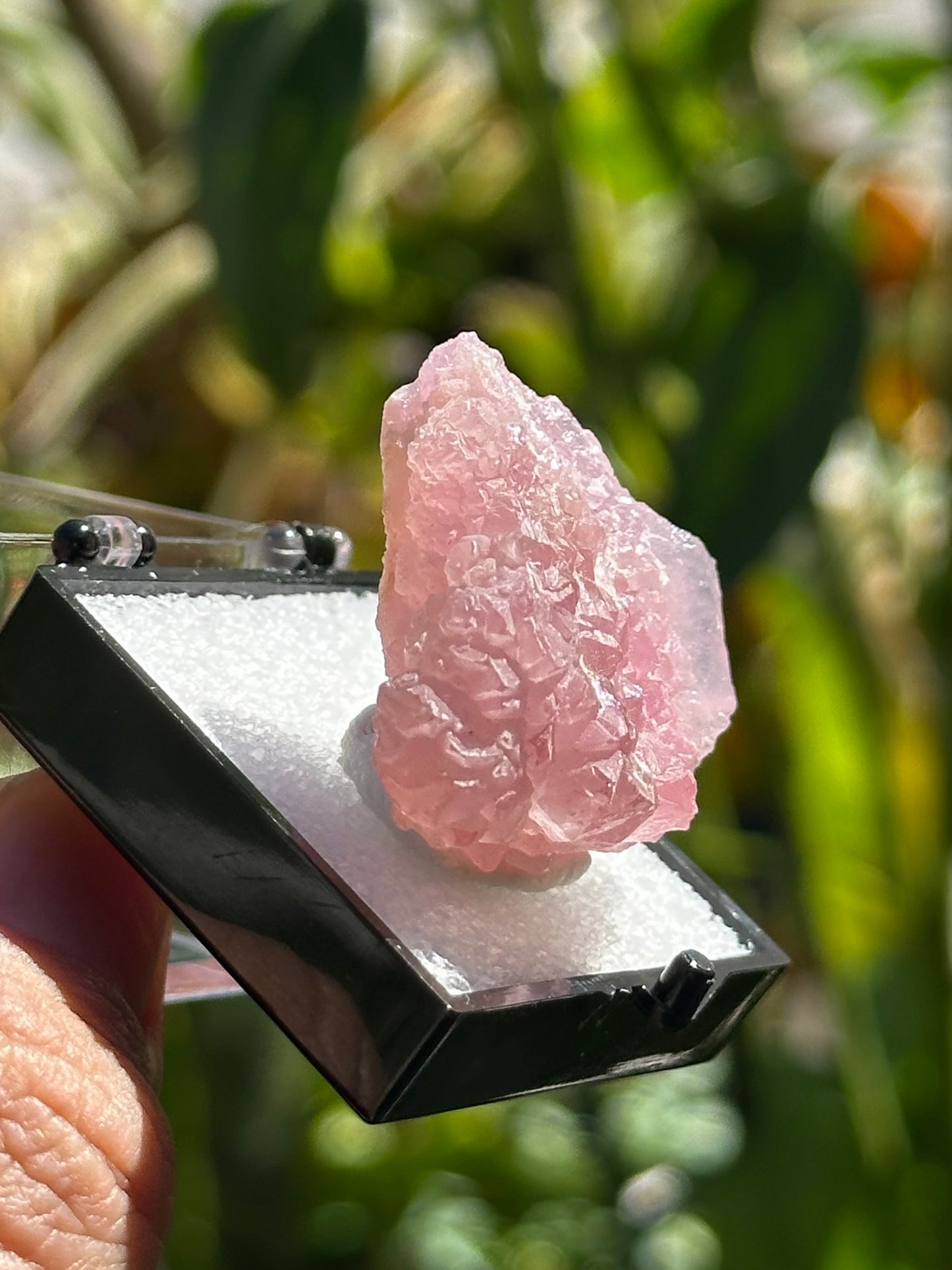 Crystallized Rose Quartz