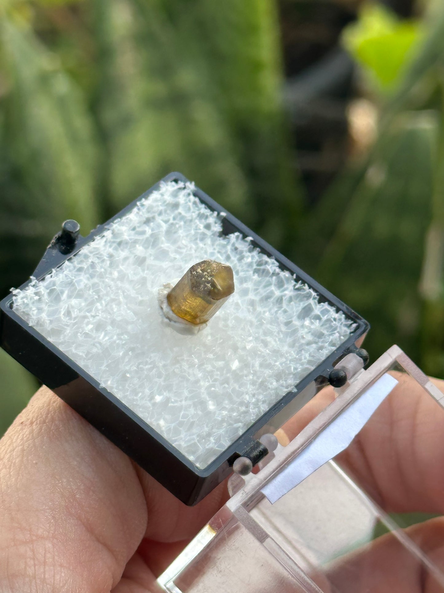 Elbaite Tourmaline