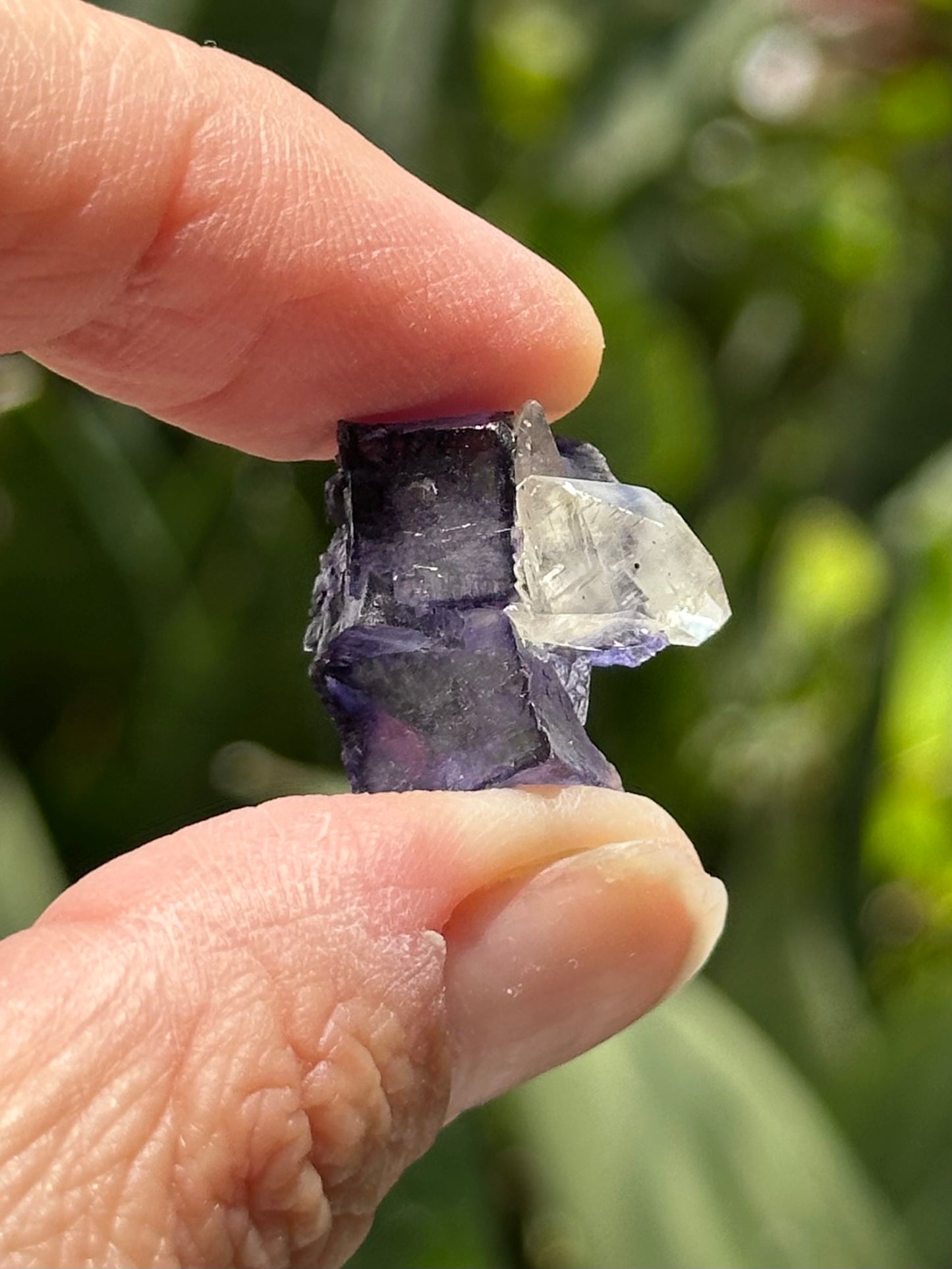 Fluorite with Calcite from the Elmwood Mine