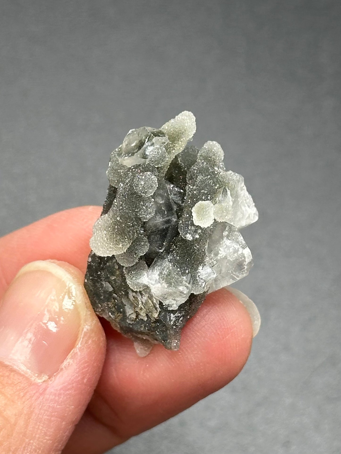 Black Chalcedony with Apophyllite