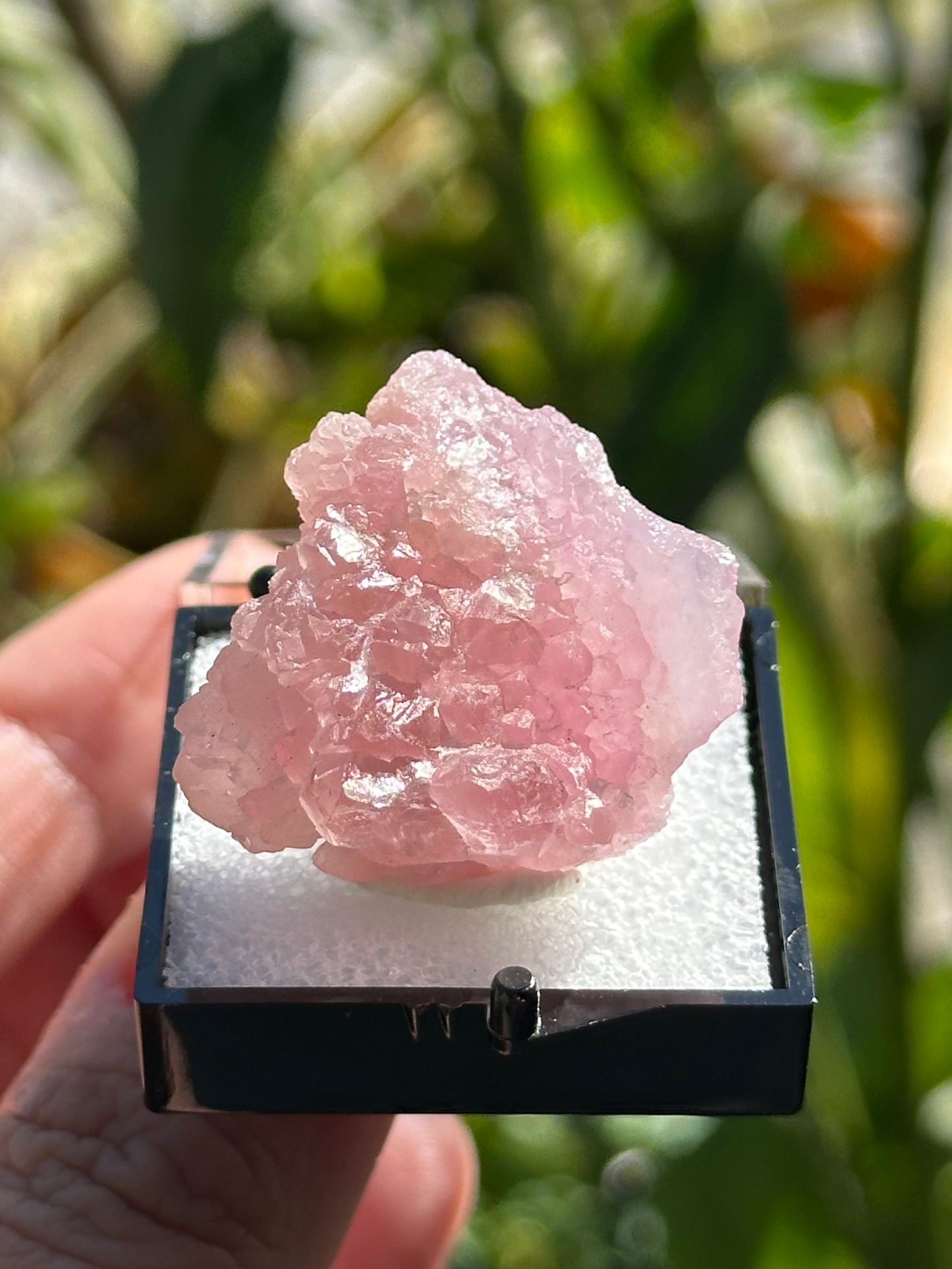 Crystallized Rose Quartz