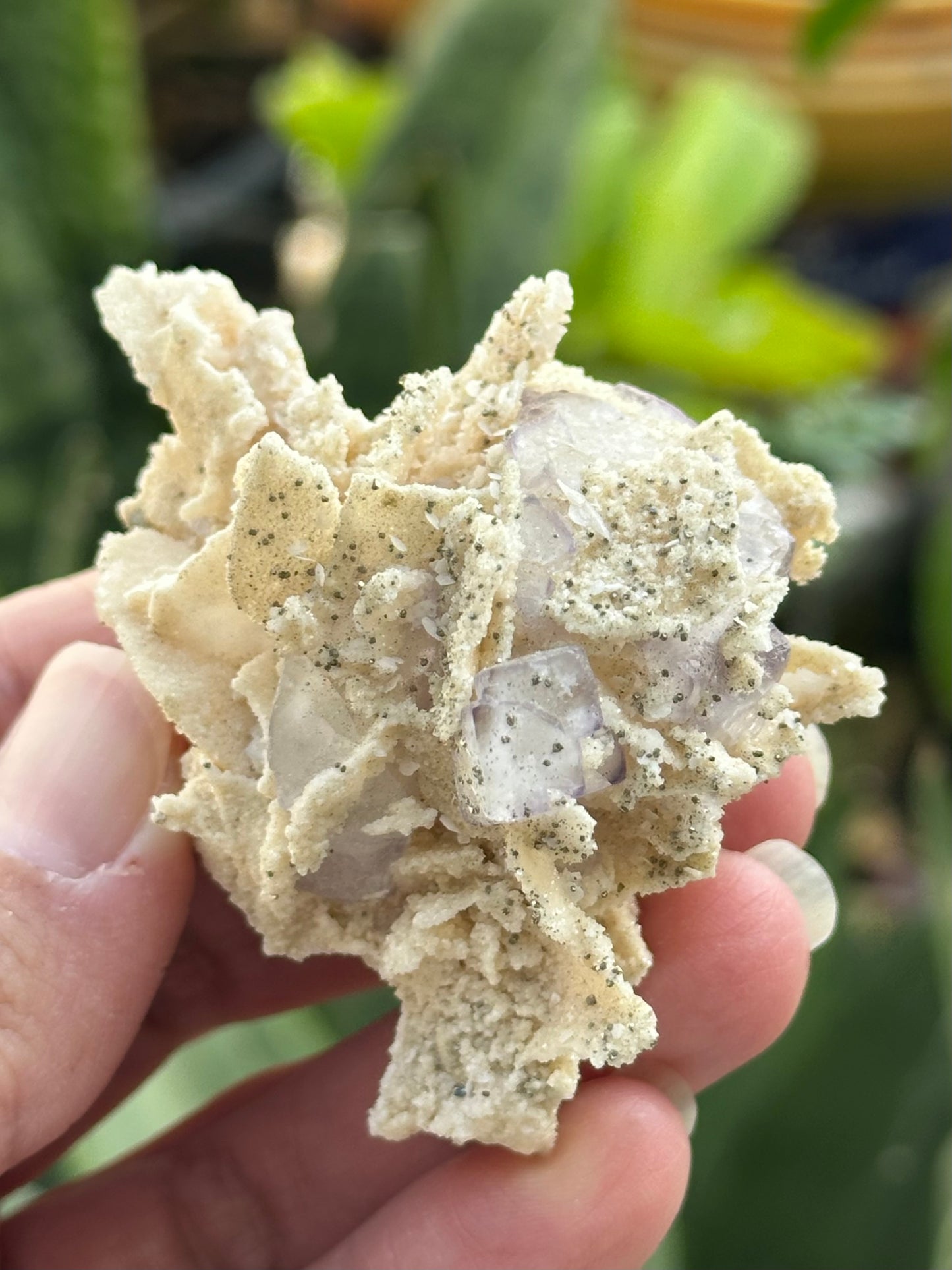 Fluorite Specimen
