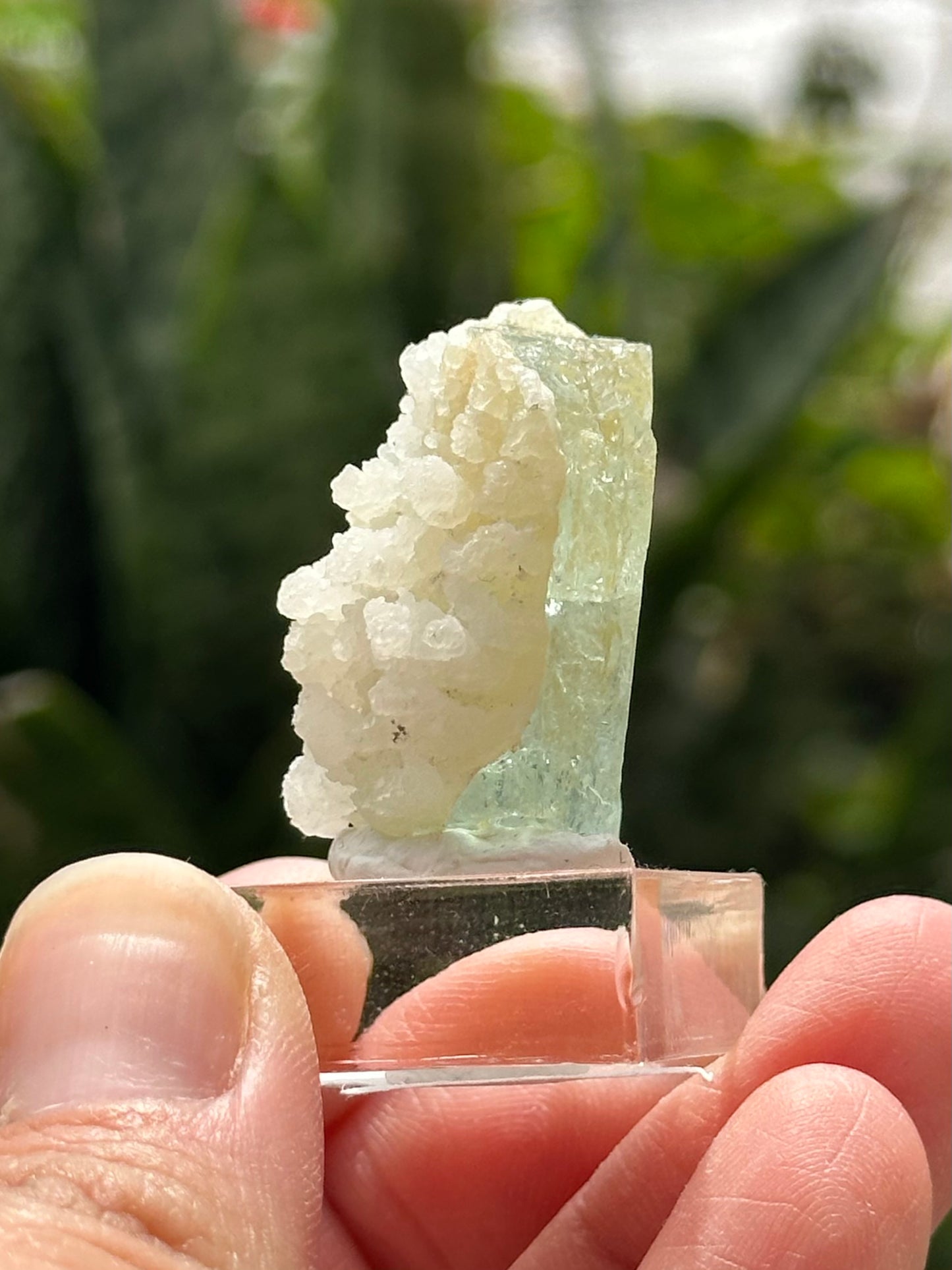 Aquamarine Specimen from Shigar Valley