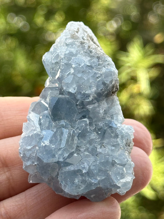 Celestite Cluster from Madagascar