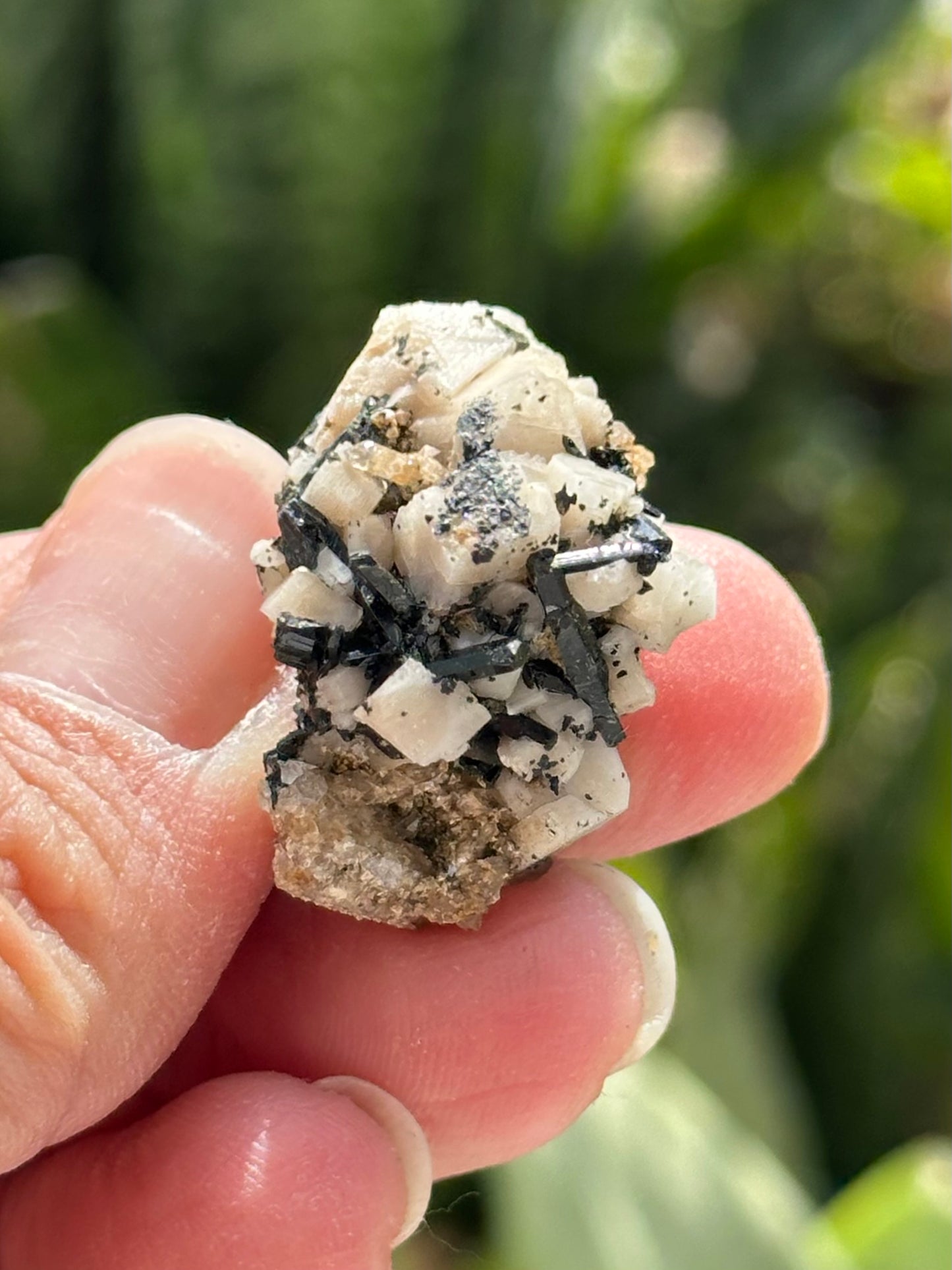 Aegirine and Feldspar Specimen