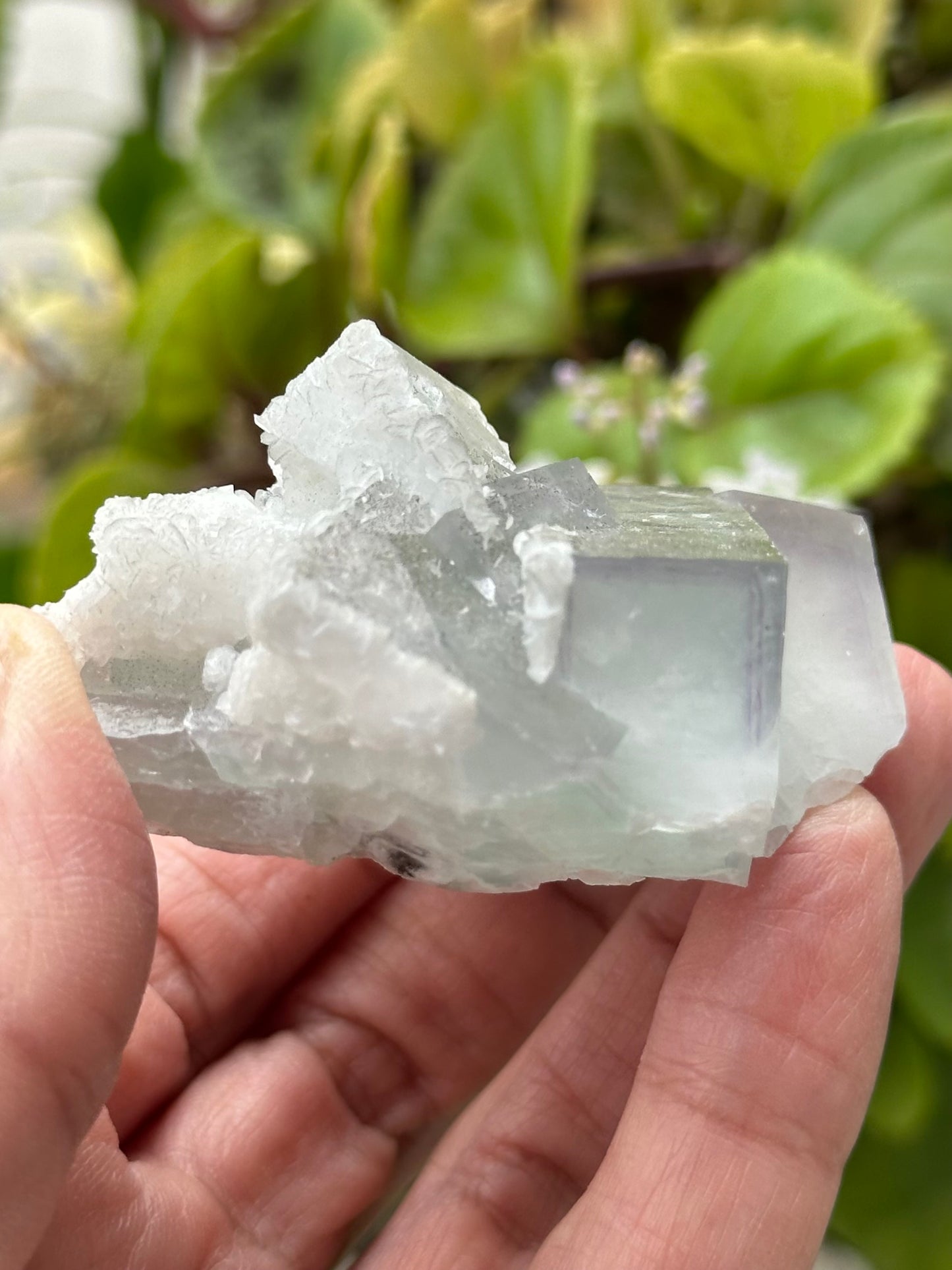 Fluorite with Quartz