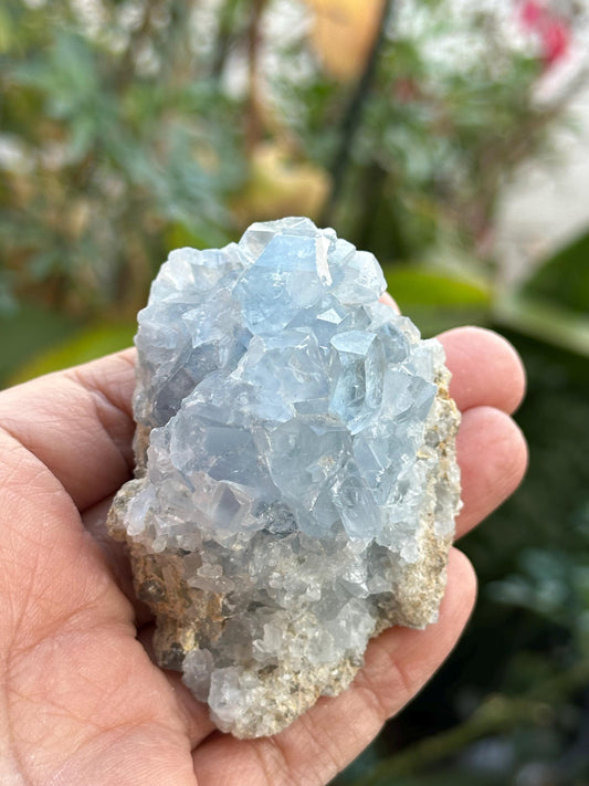 Celestite Cluster