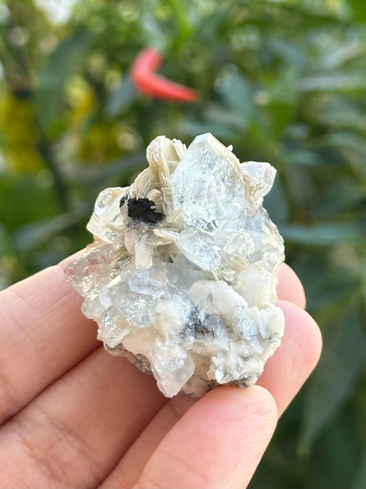 Aquamarine with Albite and Pegmatite