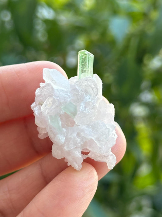 Green Tourmaline on Quartz with Lepidolite