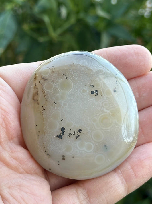 Dendritic Agate Palm Stone
