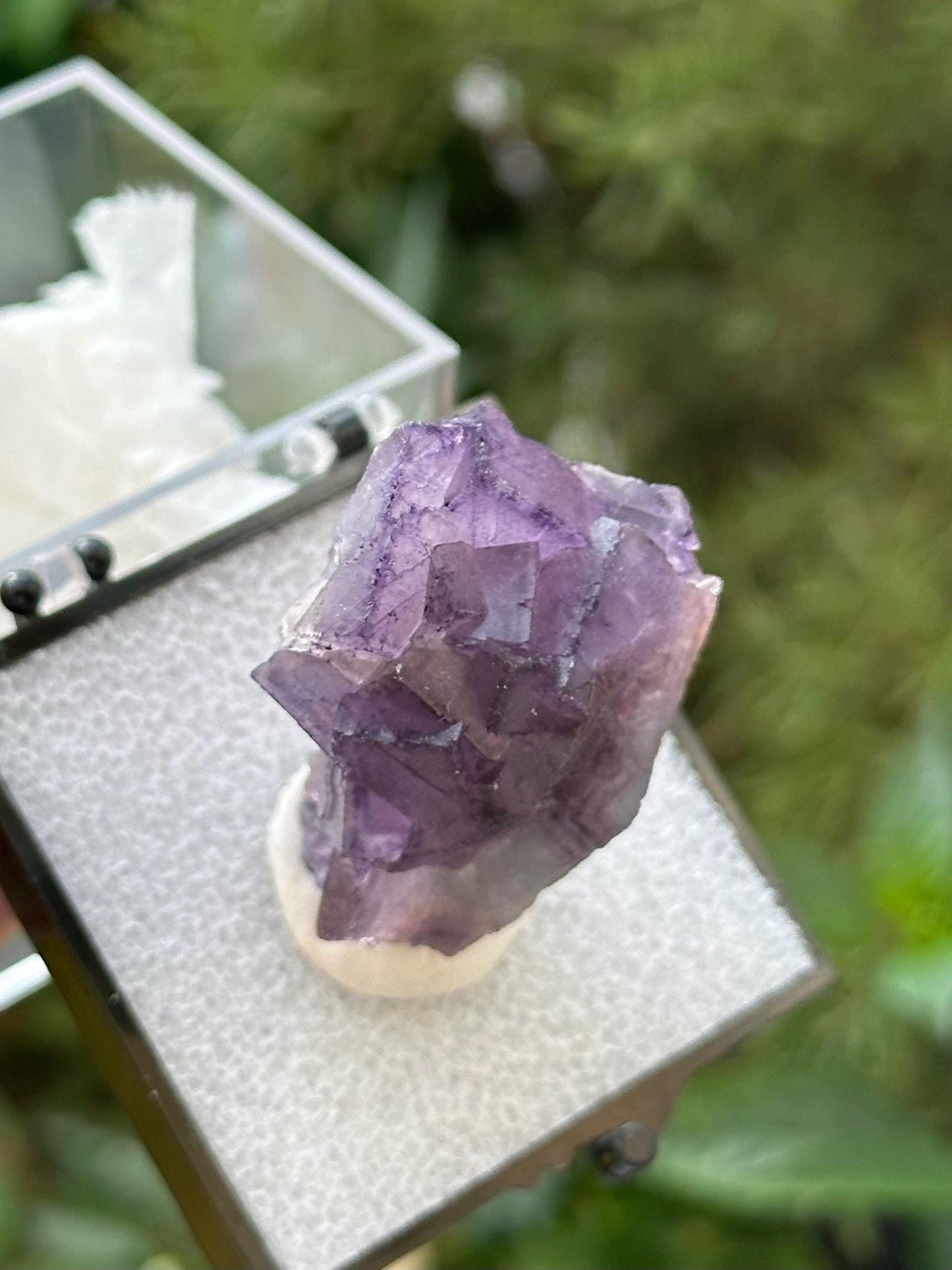 Fluorite Specimen in a perky box from Quinlong Mine, Guizhou, China