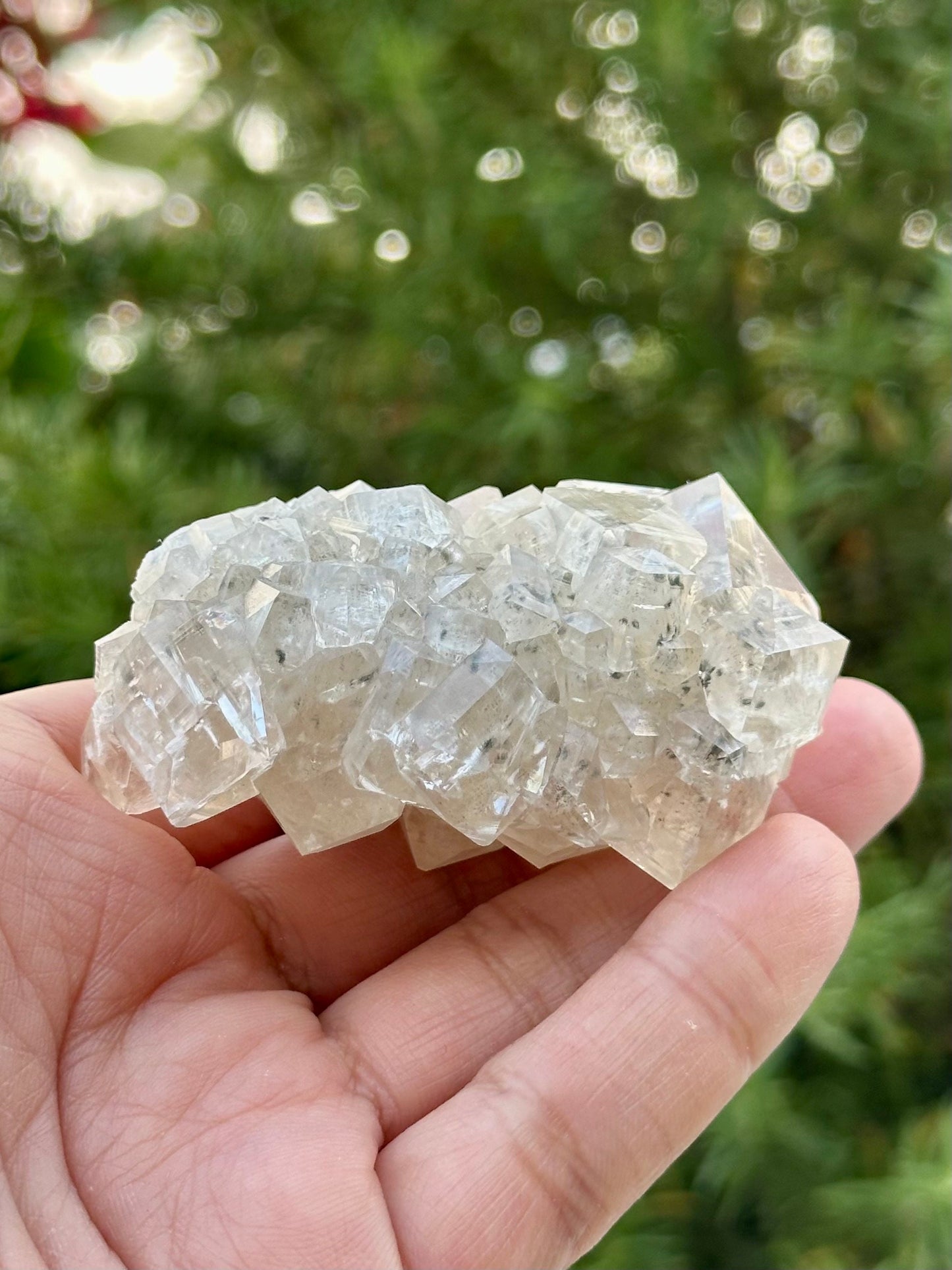 Calcite and Marcasite from the Linwood Mine