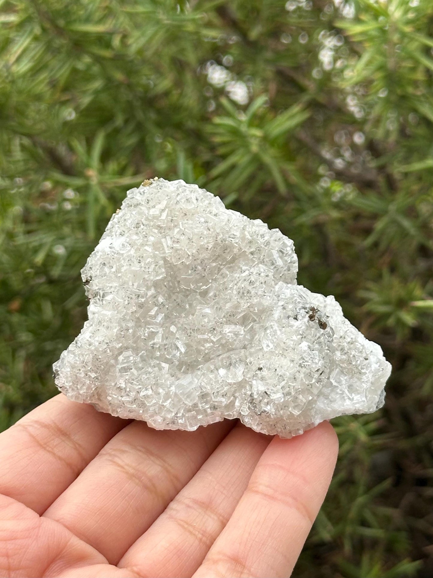 Calcite and Marcasite from the Linwood Mine