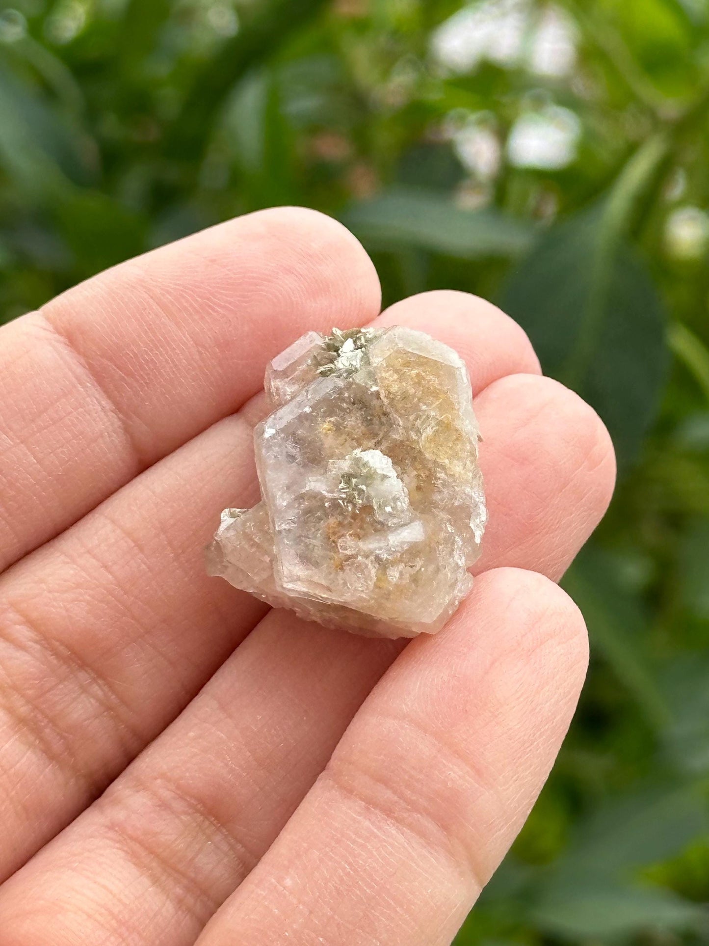 Fluorite Specimen from Clay Center, Ohio