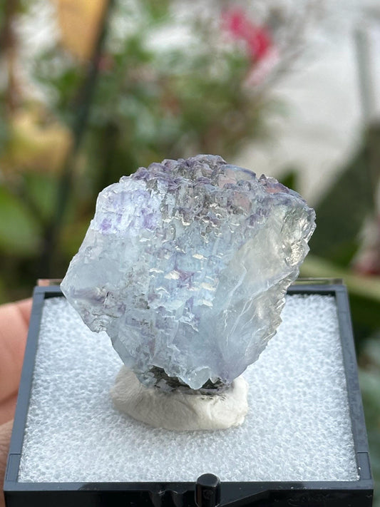 YGX Fluorite in a perky box from the Yaogangxian Mine