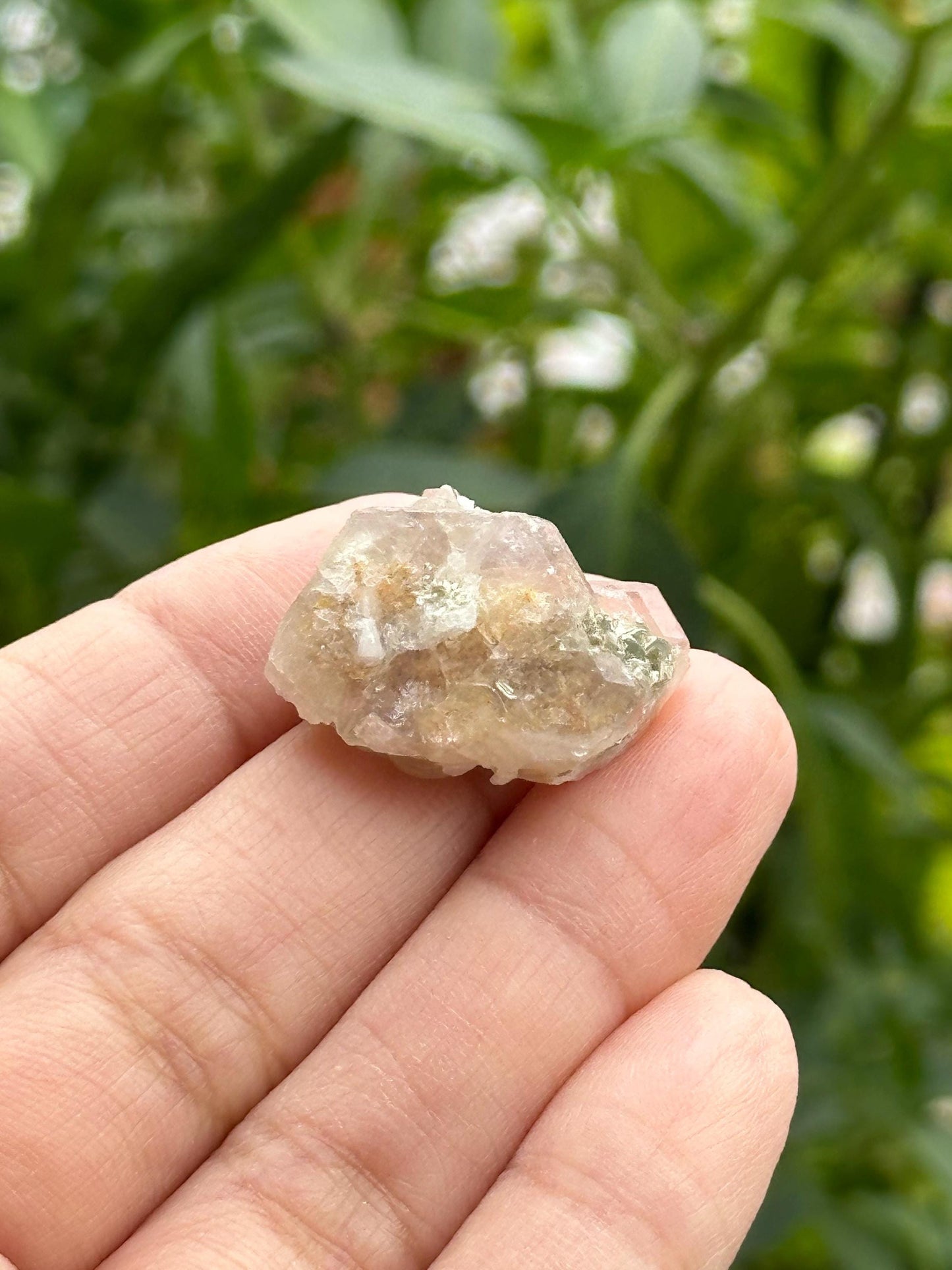 Fluorite Specimen from Clay Center, Ohio