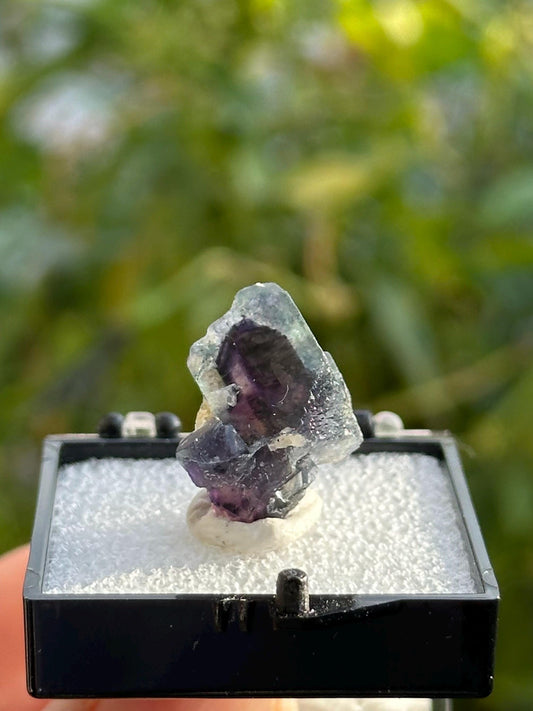 Fluorite from the Yindu Mine