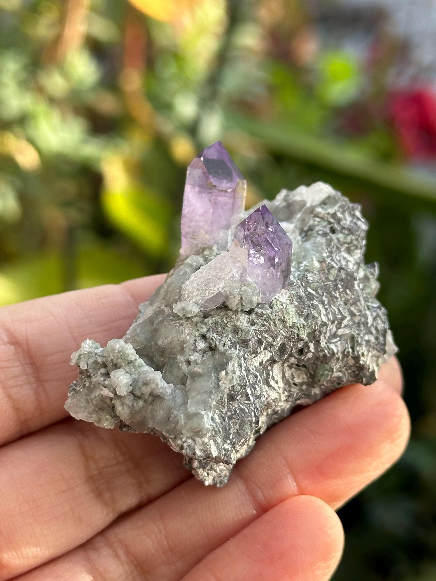 Veracruz Amethyst on Matrix