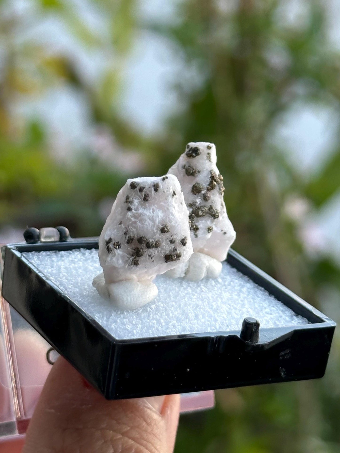 Calcite and Pyrite from Yaogangxian