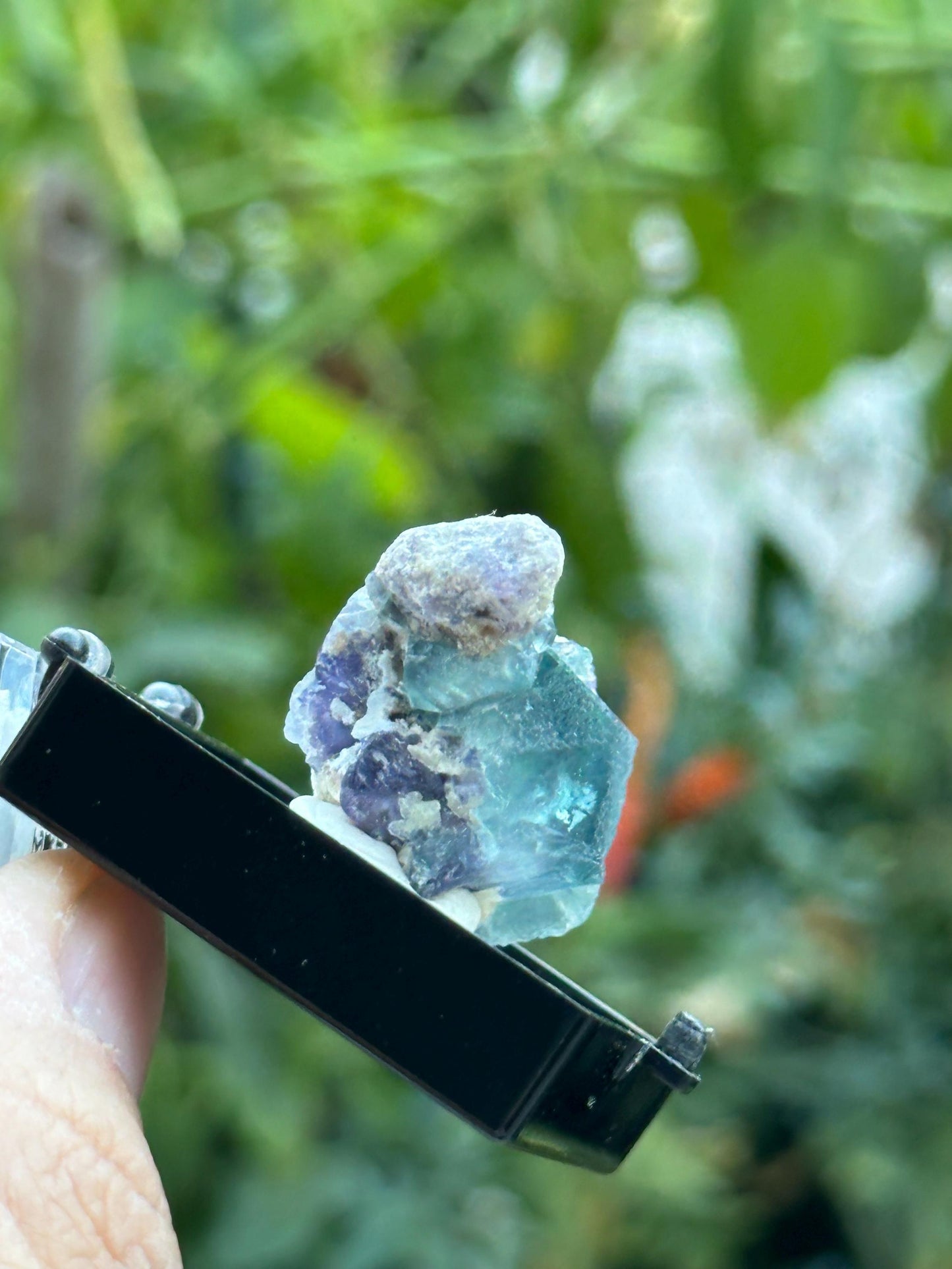 Fluorite from the Yindu Mine