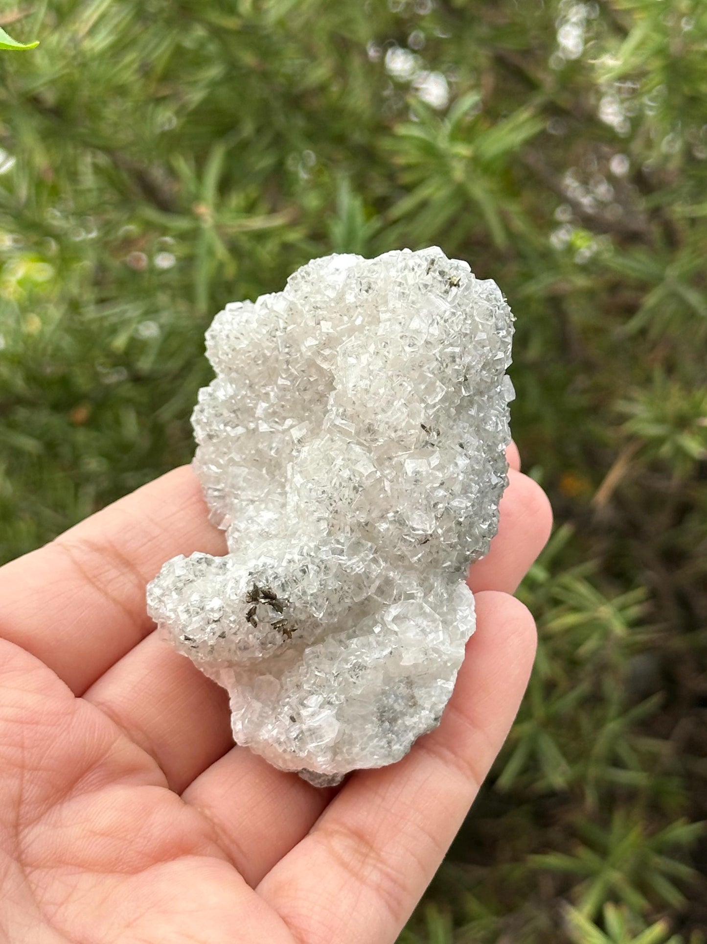 Calcite and Marcasite from the Linwood Mine