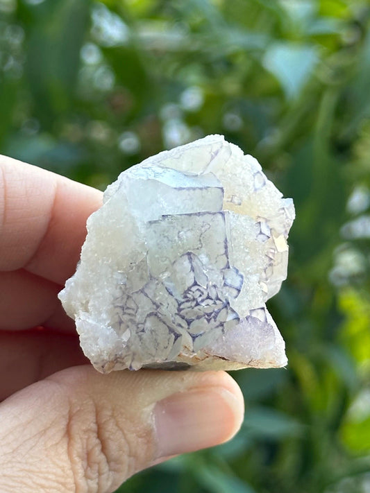 QR Code Fluorite