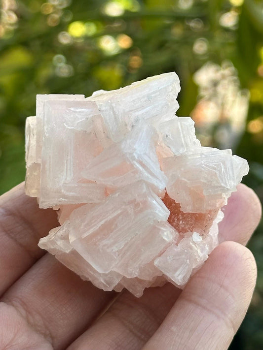 Light Pink Halite from Searles Lake, California