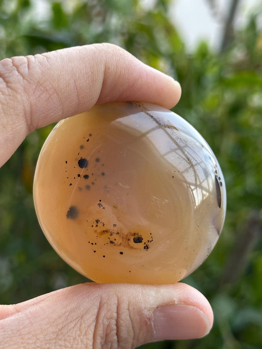 Dendritic Agate Palm Stone