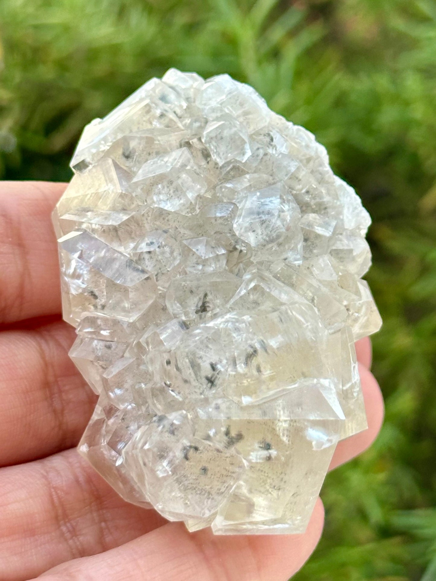 Calcite and Marcasite from the Linwood Mine