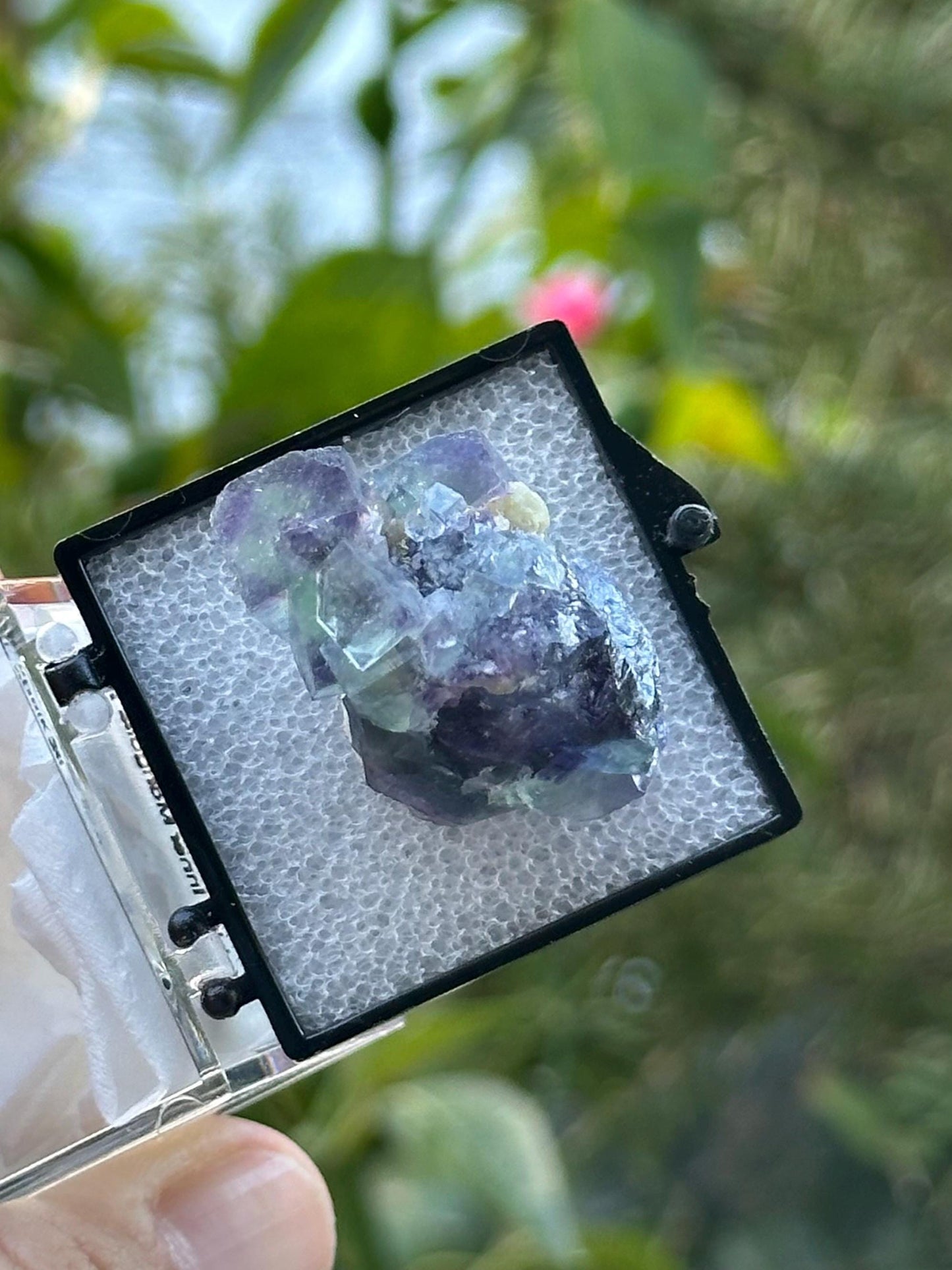 Fluorite from the Yindu Mine