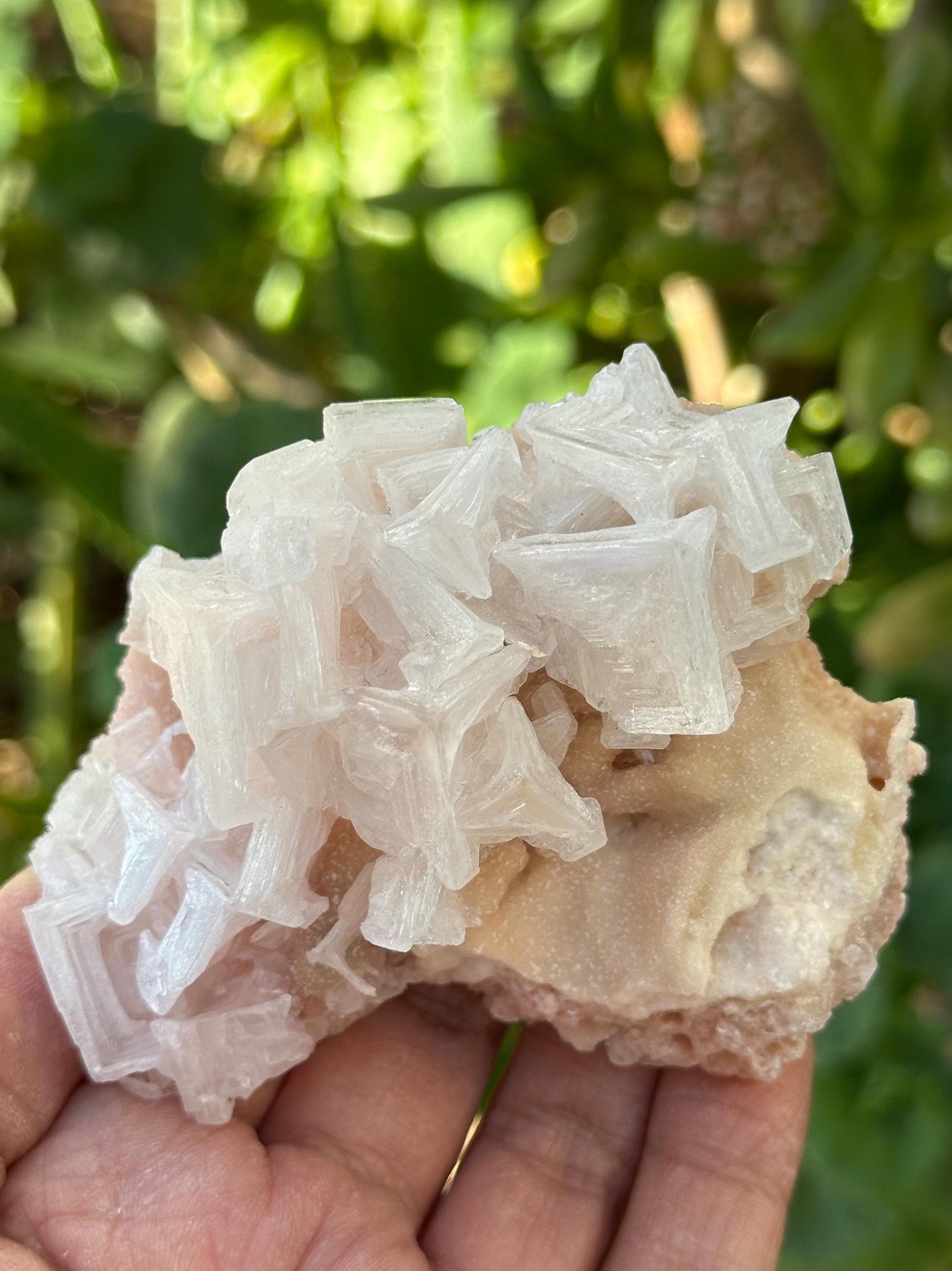 Light Pink Halite on Trona