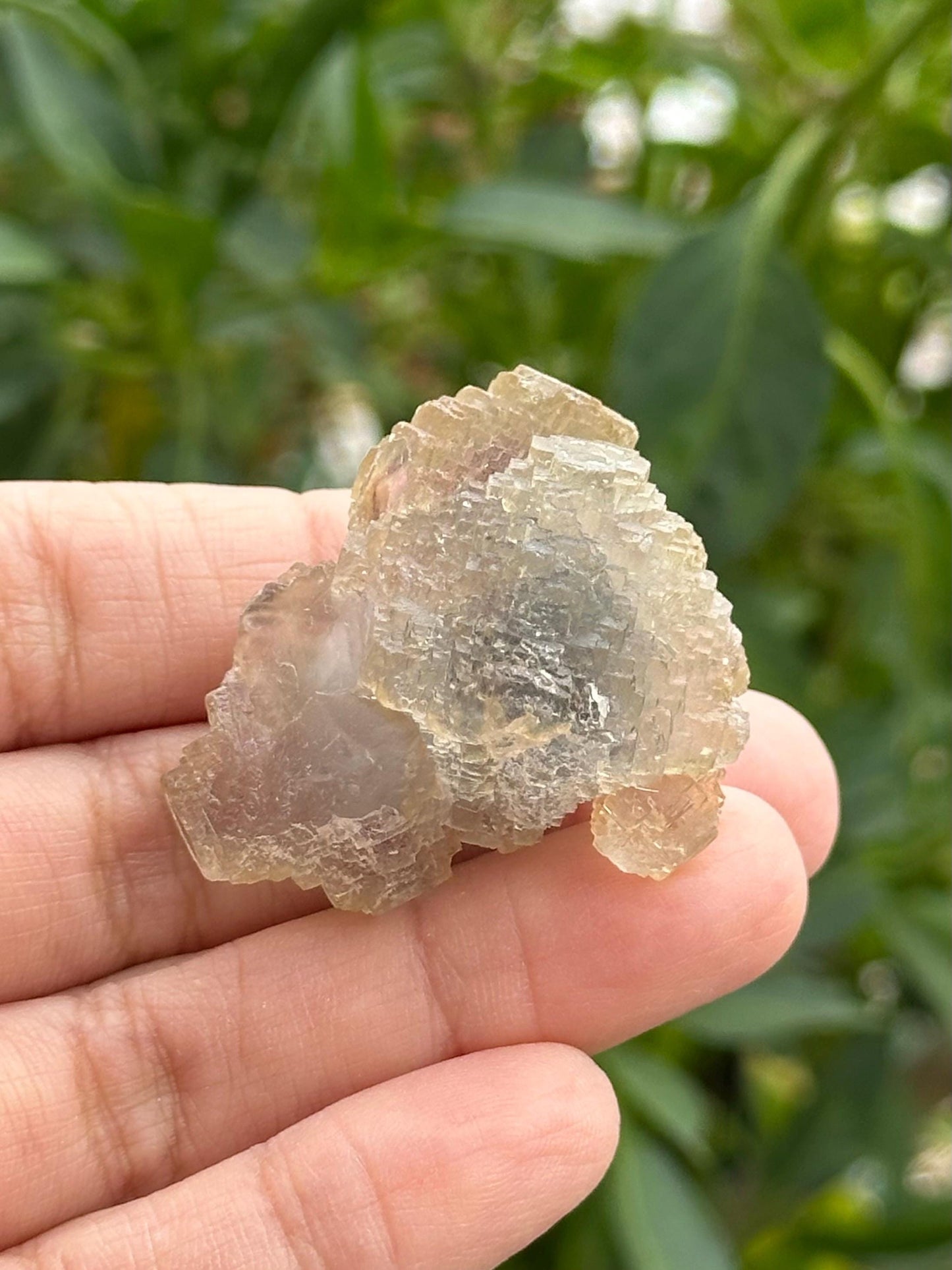 Fluorite Specimen-UV Reactive