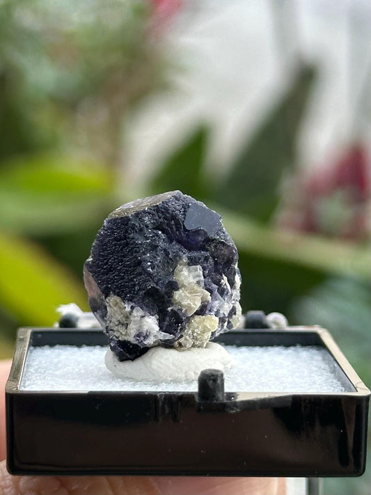 Yindu Fluorite from the Yindu Mine, Inner Mongolia, China