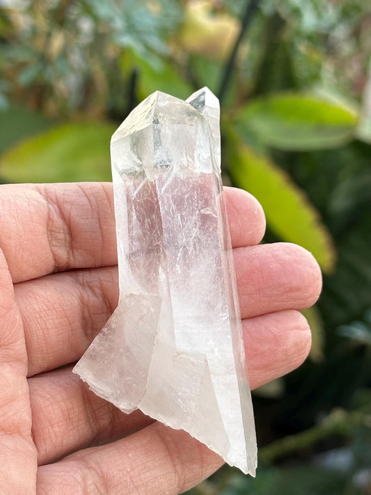 Lemurian Quartz