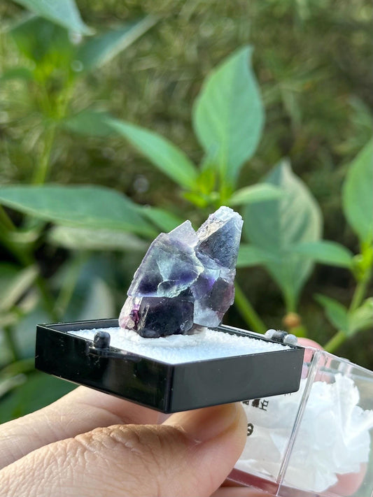 Fluorite from the Yindu Mine, Inner Mongolia, China