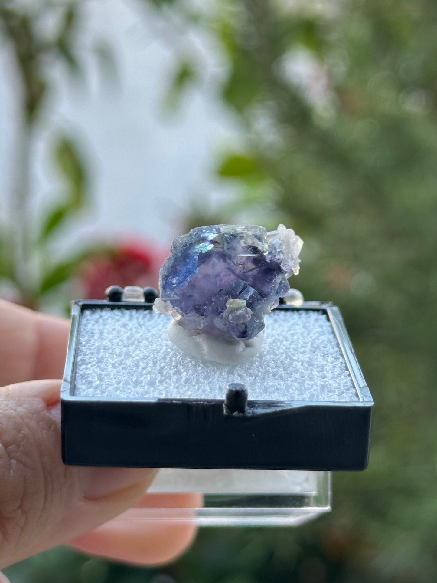 Fluorite with Quartz from the Yindu Mine