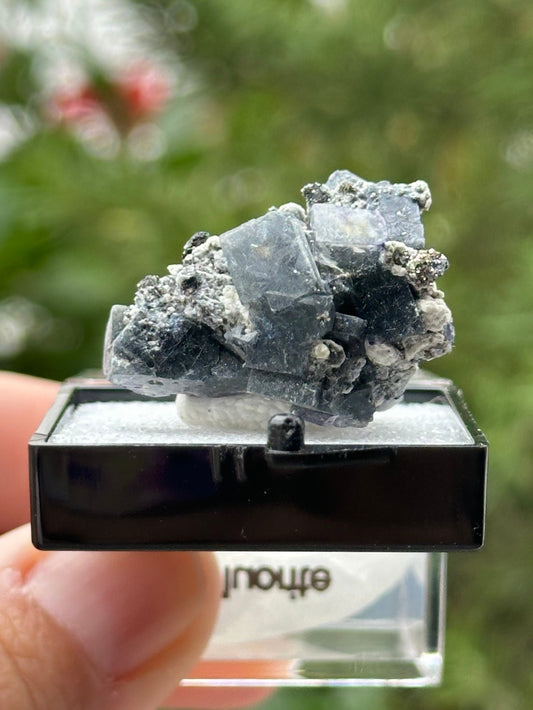 Fluorite with Pyrite Specimen in a perky box from the Yindu Mine, Inner Mongolia, China