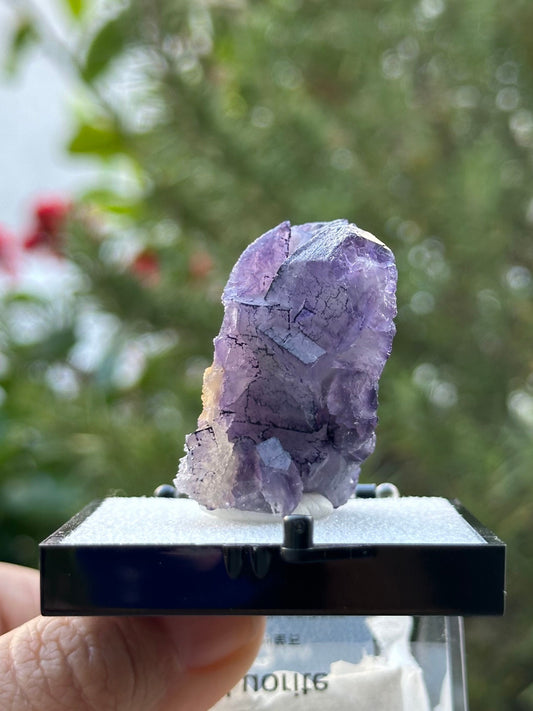 QR Code Fluorite from the Quinlong Mine