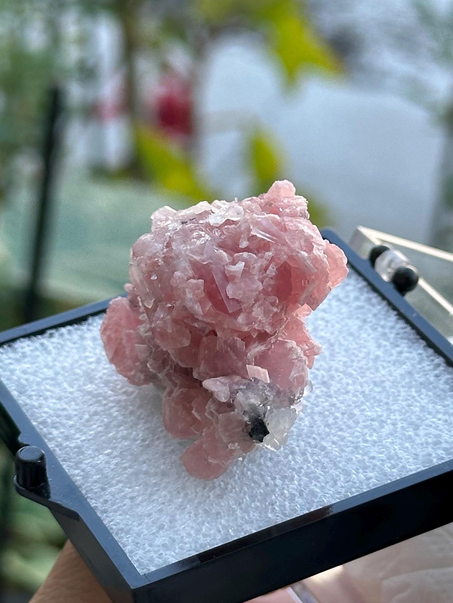 Rhodochrosite with Quartz Specimen