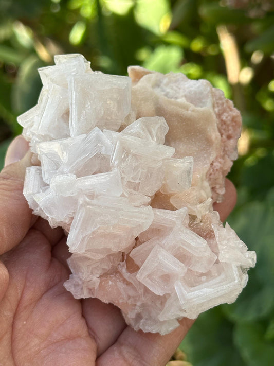 Light Pink Halite on Trona