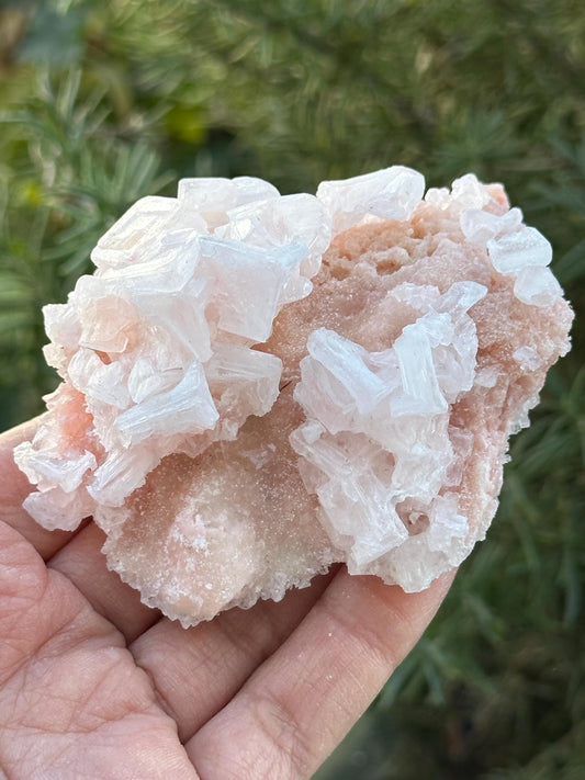 Light Pink Halite on Trona