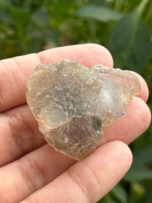 Fluorite Specimen-UV Reactive